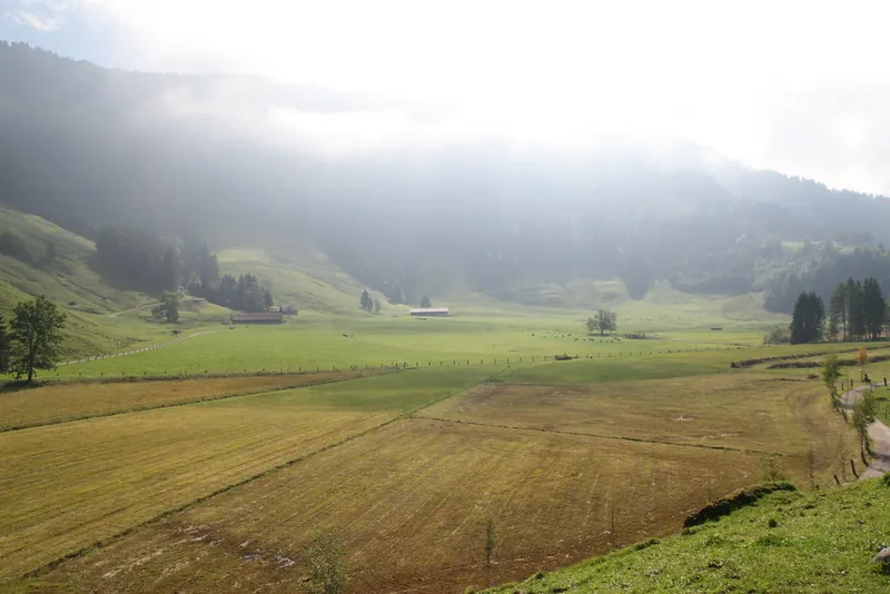 Rigi_Kulm_31