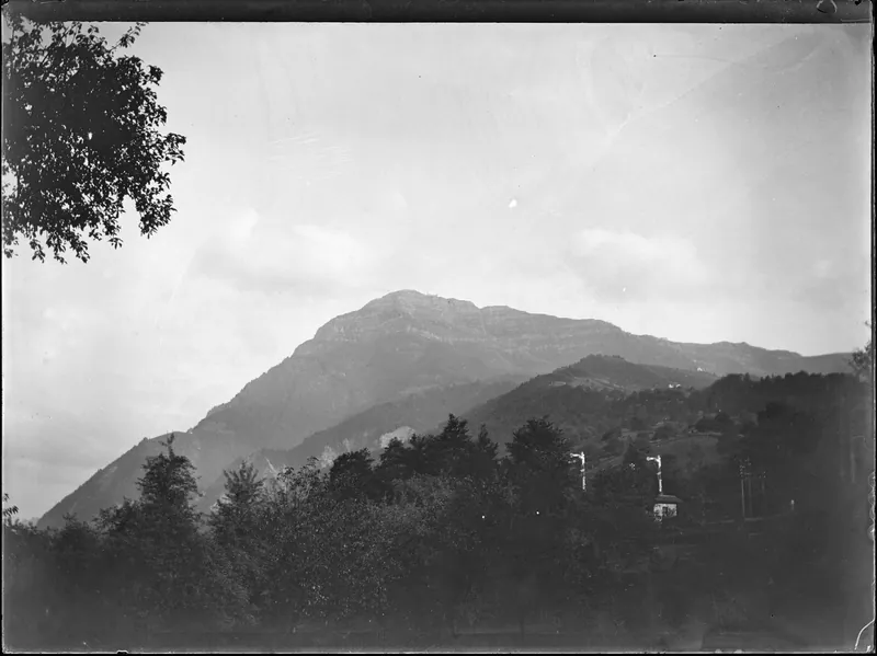 Ein Wald mit der Rigi (?) im Hintergrund und einer Bahnlinie (Rigibahn?) im Vordergrund