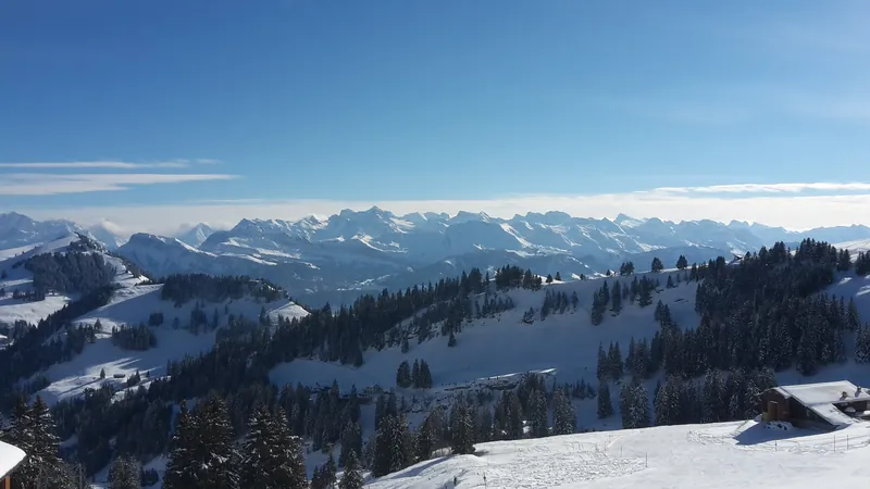 Rigi.143703 (2017-02-11 14:37:03)