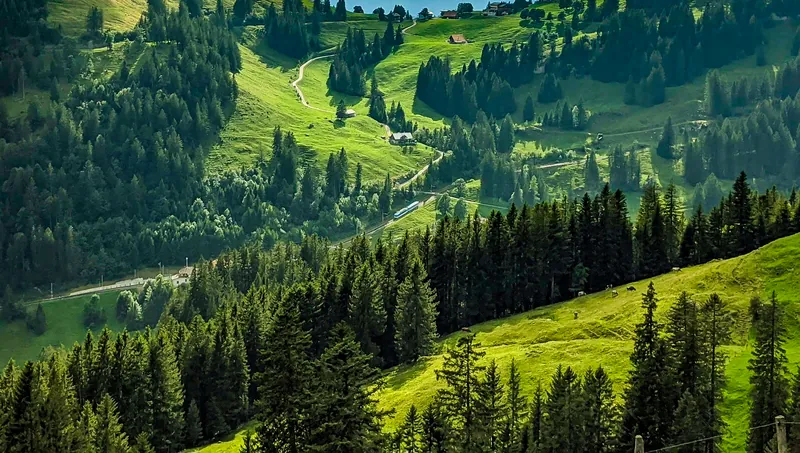 Walking down mount Rigi in Switzerland (2020-11-23 23:08:57)