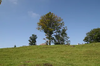 Rigi_Kulm_24