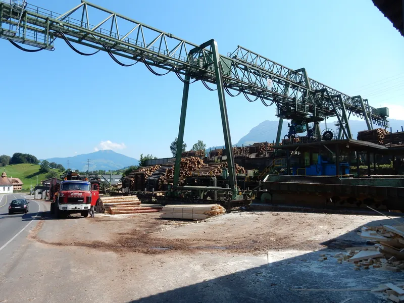 Küssnacht am Rigi, Haltikon, Schillinger Holz (08.09.2015)