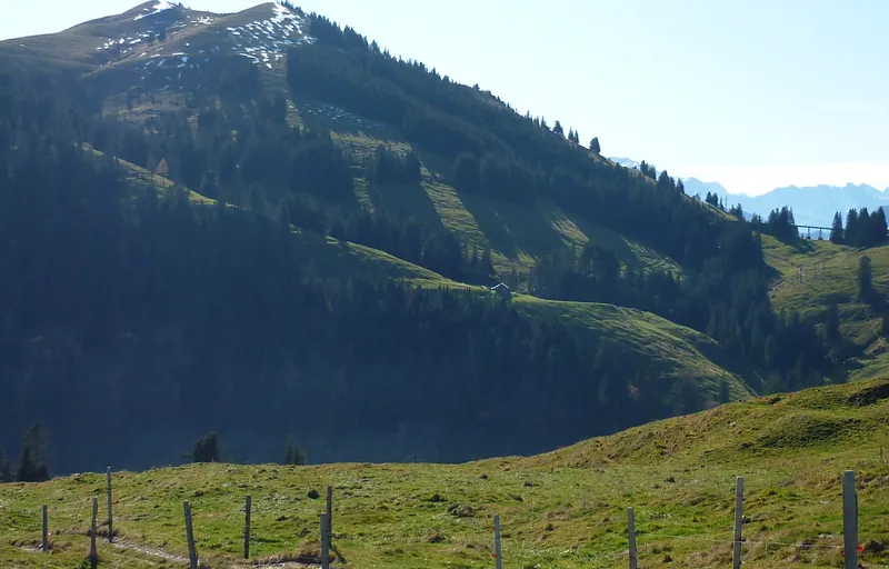 Rigi Unterstetten (2009-10-30 11:59:39)