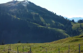 Rigi Unterstetten (2009-10-30 11:59:39)