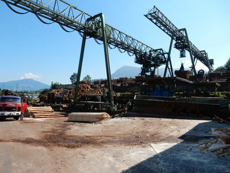Küssnacht am Rigi, Haltikon, Schillinger Holz (08.09.2015)