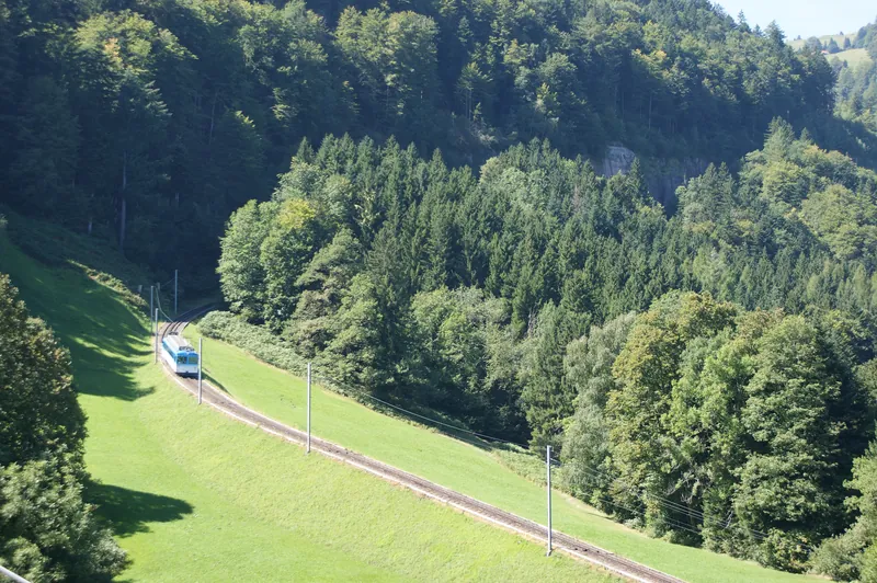 Rack railway Arth-Goldau to Rigi-track near Kraebel-08ASD (2023-09-04)