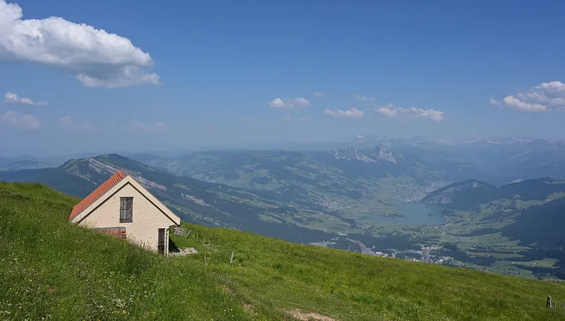 Field Rigi (2022-06-19 22:27:13)