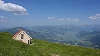 Field Rigi (2022-06-19 22:27:13)