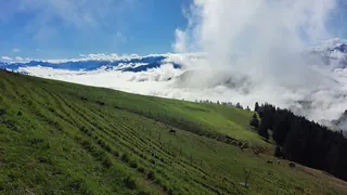 20240906.Rigi Kulm.-014 (2024-09-06 10:49:17)