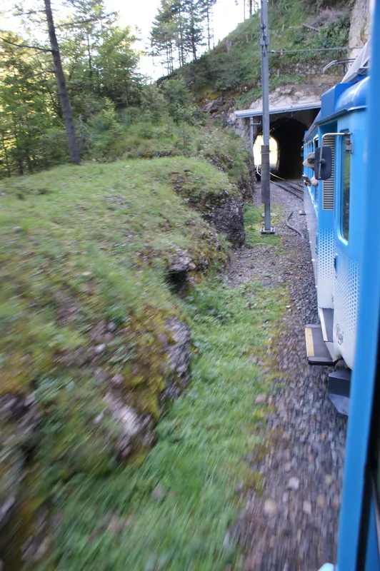 Rack railway Arth-Goldau to Rigi-track-03ASD (2023-09-04)