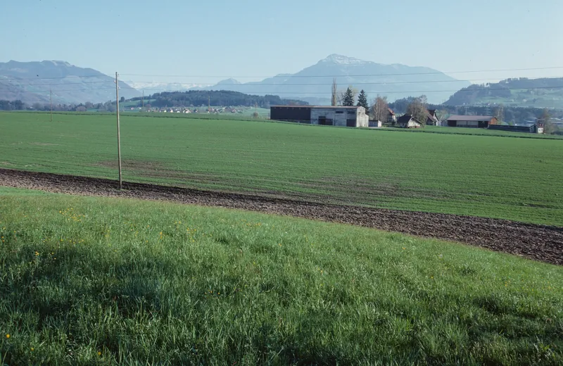 Risch ZG, On golf course southeast of Holzhäusern with the Kathrinenhof, in the background the Zugerberg, Buonas and Rigi (30.03.1994)