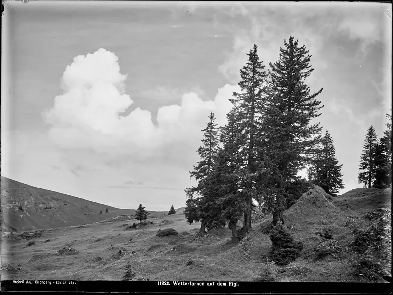 Seebodenalp, Landschaft (circa 1910)