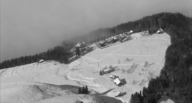 Rigi, winter landscapes (29.01.1991)