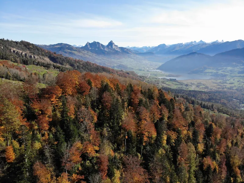 Arth-Goldau in Autumn (2020-10-25 12:51:29)