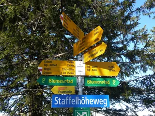 Wanderwegweiser Rigi Staffelhöhe 1550 (2016-12-04 15:40:37)