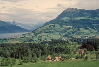 Udligenswil with Rigi and Lake Zug, landscape with many tall trees (1985)
