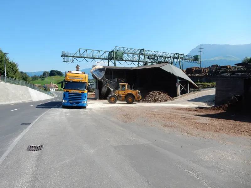 Küssnacht am Rigi, Haltikon, Schillinger Holz (08.09.2015)