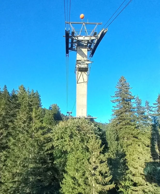 Weggis-ropeway-Rigi Kaltbad-track-pylon 2-02ASD (2023-10-08)