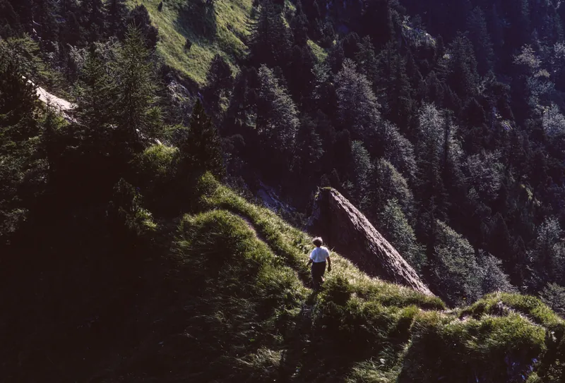 Ecologically valuable natural area at Rigi Hohfluh (1998)
