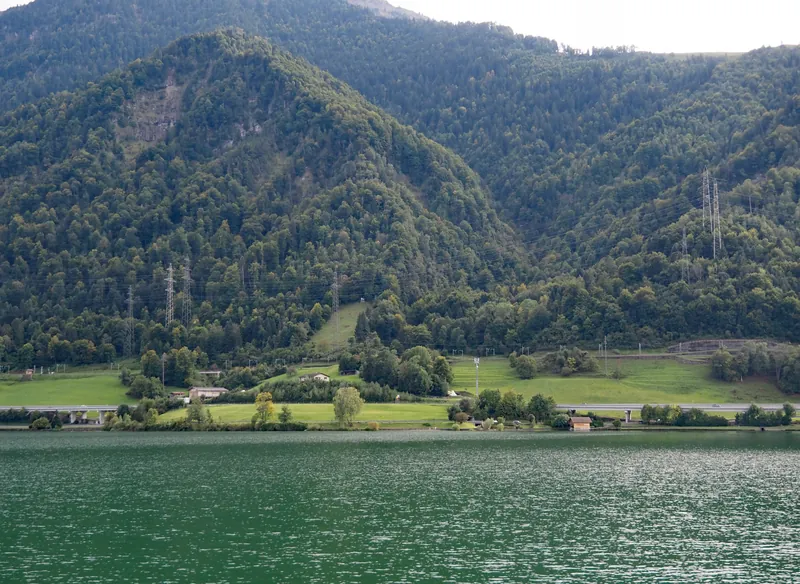 Fischchrattenbach und Stock (2026-01-06)
