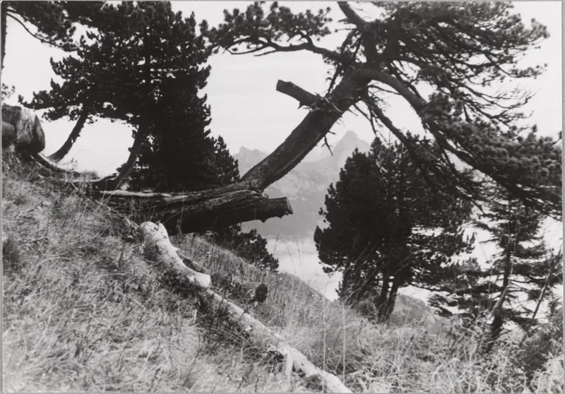 Rigi-Hochfluh (18.10.1952-19.10.1952)