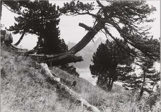 Rigi-Hochfluh (18.10.1952-19.10.1952)