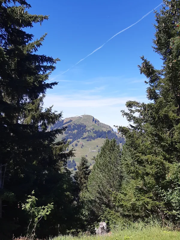 Rigi Kulm from Scheidegg (top station)-02ESD (2023-09-03)