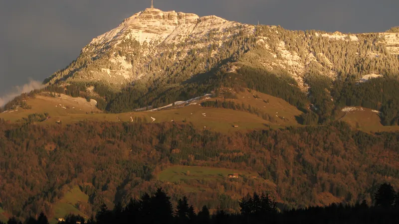 Rigi NW flank after early snowfall (30.03.2010)