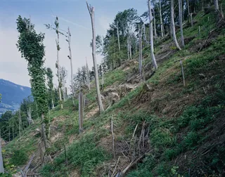 Küssnacht SZ, Rigi-Nordlehne, in Unter Schattenberg above Rickenbachhof (01.06.1994)
