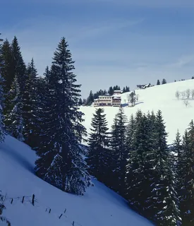 Rigi, Bärenstube Restaurant (1978)