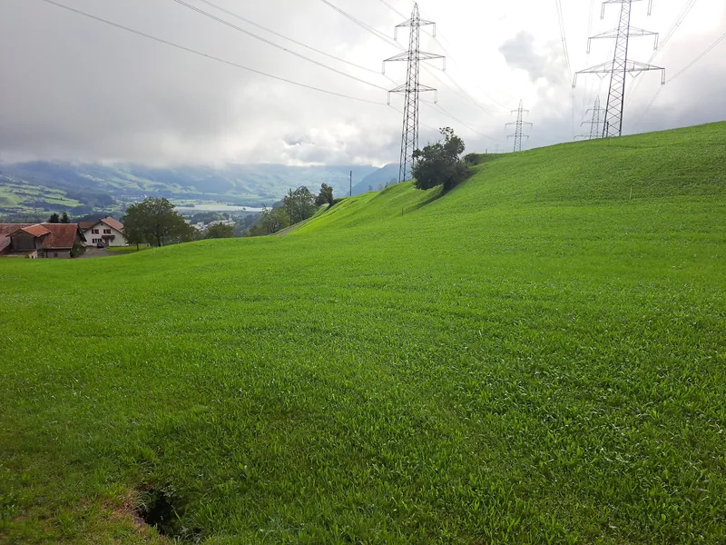 20240906.Arth-Rigi-Bahn.-023 (2024-09-06 10:16:24)
