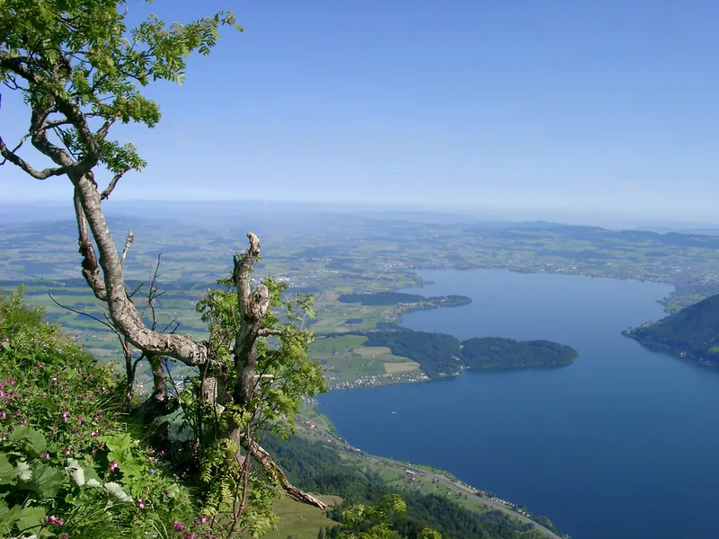 Hoch über dem Zuger See (2009-06-14 09:44:37)