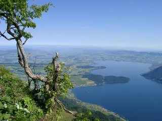 Hoch über dem Zuger See (2009-06-14 09:44:37)