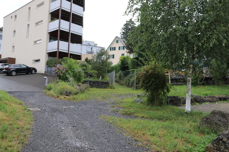 20260718E246 Arth-Goldau (2026-07-18 12:56:35)