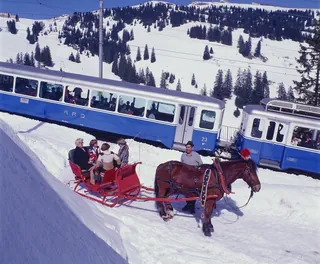 Rigi, Horse-Drawn Sleigh (1978)