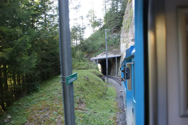Rack railway Arth-Goldau to Rigi-track-02ASD (2023-09-04)