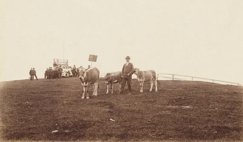 Rigi Kulm (ca. 1906)