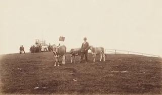 Rigi Kulm (ca. 1906)
