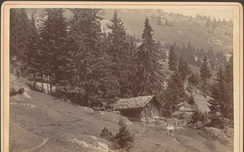 Rigi. Hütte unterhalb Kaltbad mit Kühen (1886)