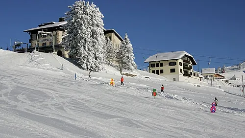 Picswiss SZ-29-38 (2005-12-30)