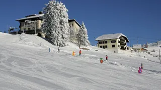 Picswiss SZ-29-38 (2005-12-30)