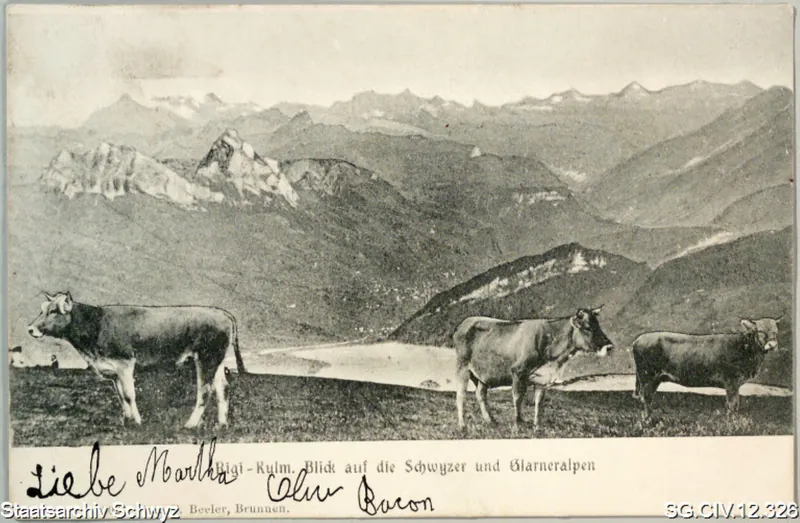 Rigi-Kulm. Blick auf die Schwyzer und Glarneralpen (1906)
