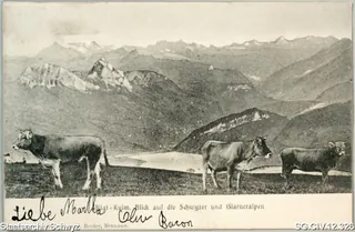 Rigi-Kulm. Blick auf die Schwyzer und Glarneralpen (1906)