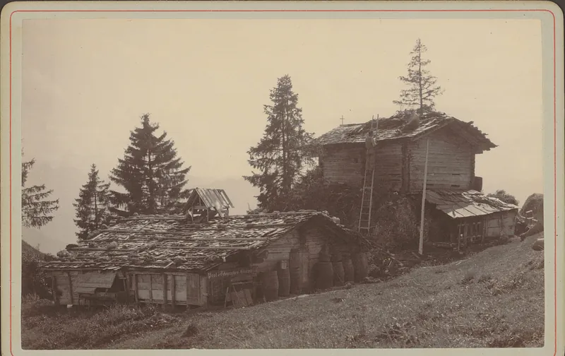 Rigi. Schweinestall Rigi-Kaltbad (1886)