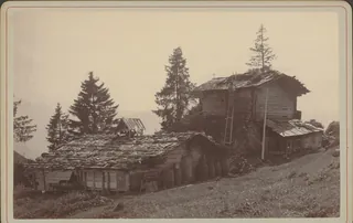 Rigi. Schweinestall Rigi-Kaltbad (1886)