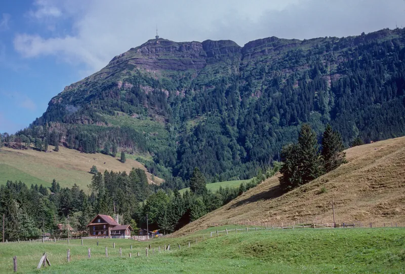 Küssnacht, Seebodenalp on the north flank of the Rigi (2000)
