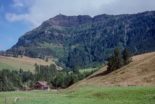 Küssnacht, Seebodenalp on the north flank of the Rigi (2000)