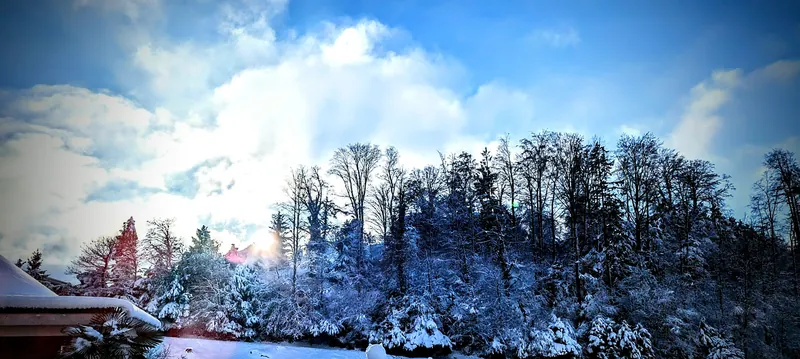 Schnee und Sonne (2023-12-03 15:13:12)