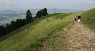 Rigi_Kulm_50