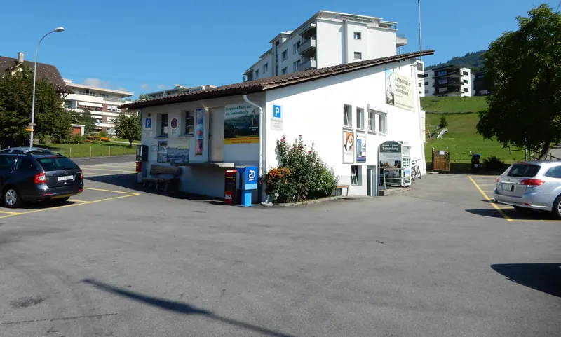 Küssnacht am Rigi, Greppenstrasse, aerial cableway Küssnacht - Seebodenalp (08.09.2015)